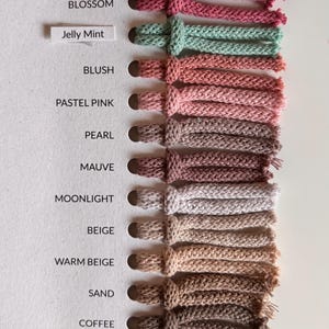 K&ouml;nnte beinhalten: Eine Farbmusterkarte mit vierzehn geflochtenen Kordelmustern in verschiedenen Farbt&ouml;nen, darunter Wine Red, Burgundy, Blossom, Jelly Mint, Blush, Pastel Pink, Pearl, Mauve, Moonlight, Beige, Warm Beige, Sand, Coffee und Dusty Rose mit Beschriftung.