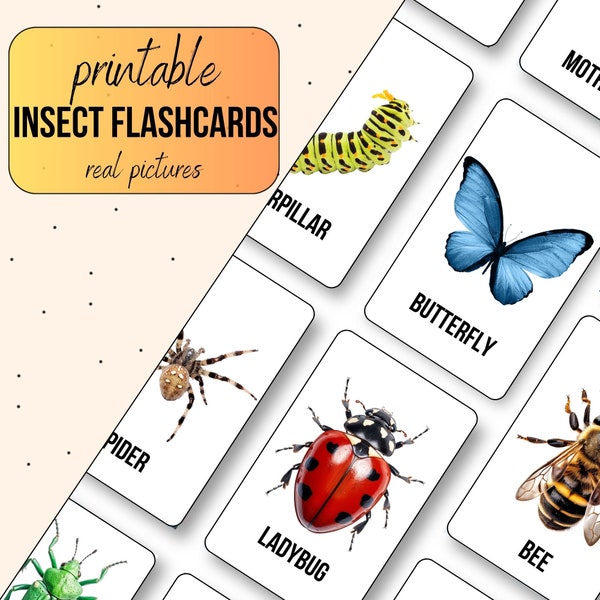 Printable Insecet Flash Cards - Preschool Teaching Aids, Montessori Materials, Memory Game