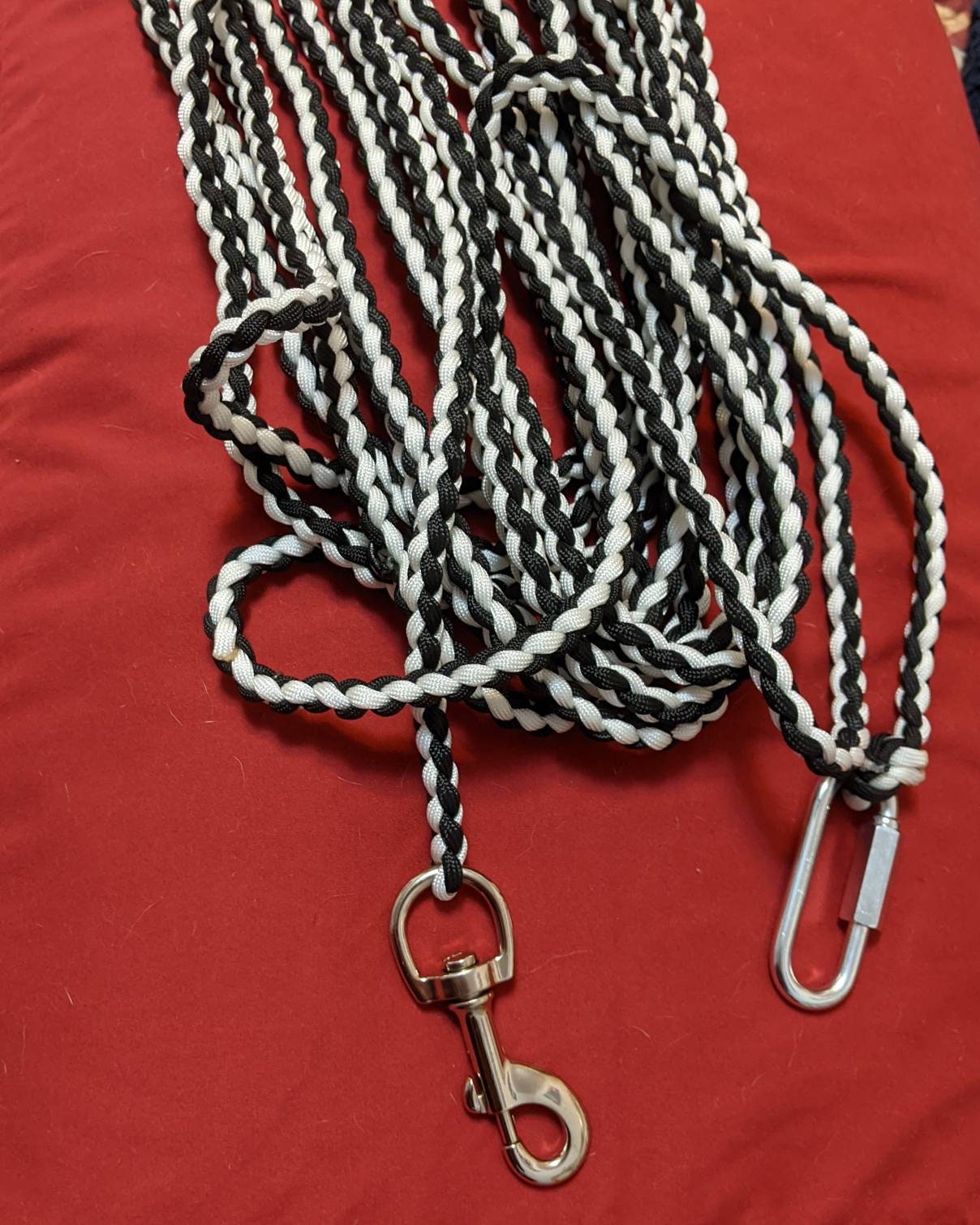 paracord dog tie out