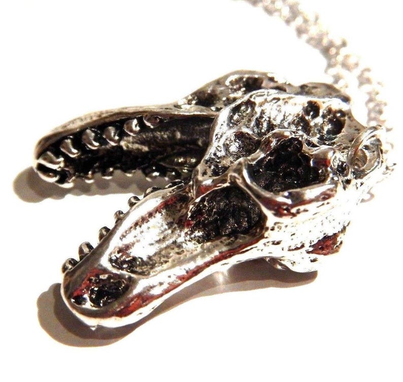 T-REX Tyrannosaurus Rex Dinosaur Skull Pendant on Silver Metal | Etsy