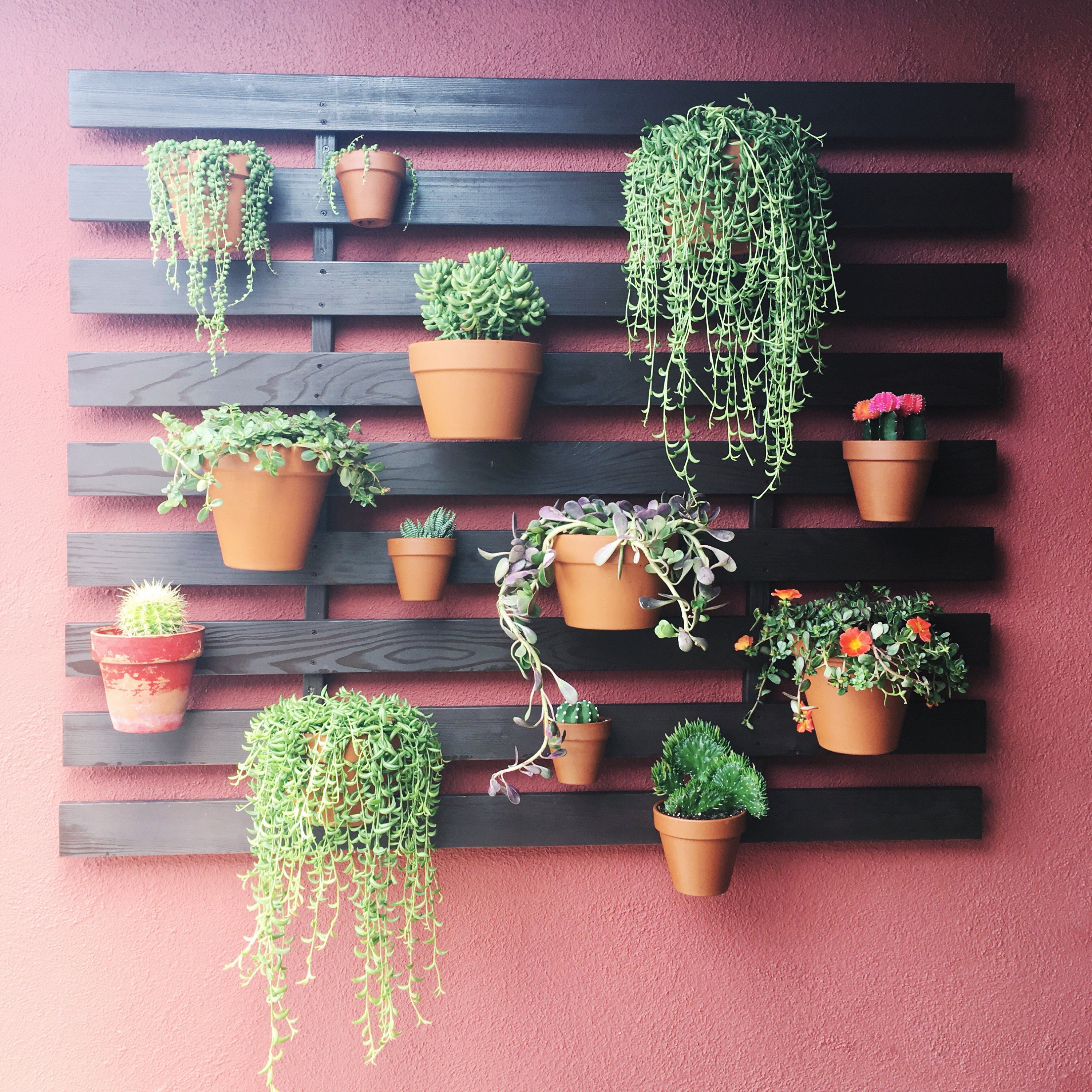 Flower Pot Hanger, 5 pieces set for Terracotta pot, hold up to 7 inch…