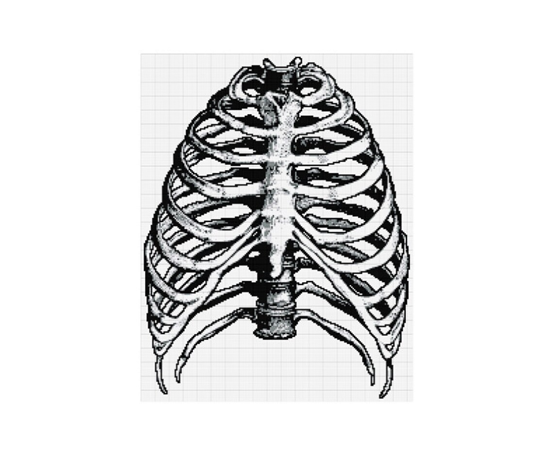 Rib Cage Cross Stitch Pattern | Black and Gray | Skeleton | Anatomy ...