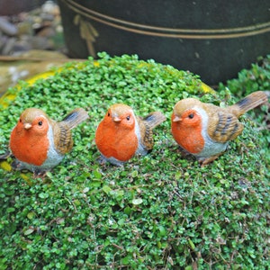 3 Pot Topping Robin Bird Garden Ornaments image 6