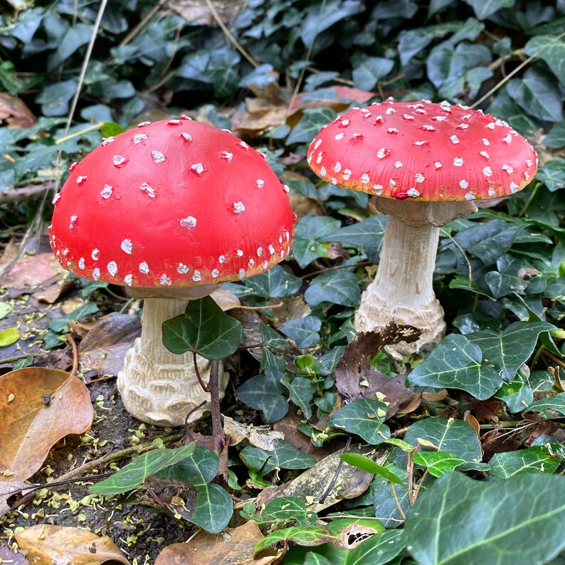 Pair Of Garden Mushroom Ornaments Etsy