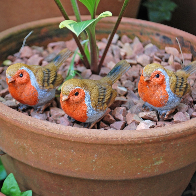 May include: Three small ceramic robin figurines in a terracotta pot with brown gravel. The robins are brown and orange with white accents.
