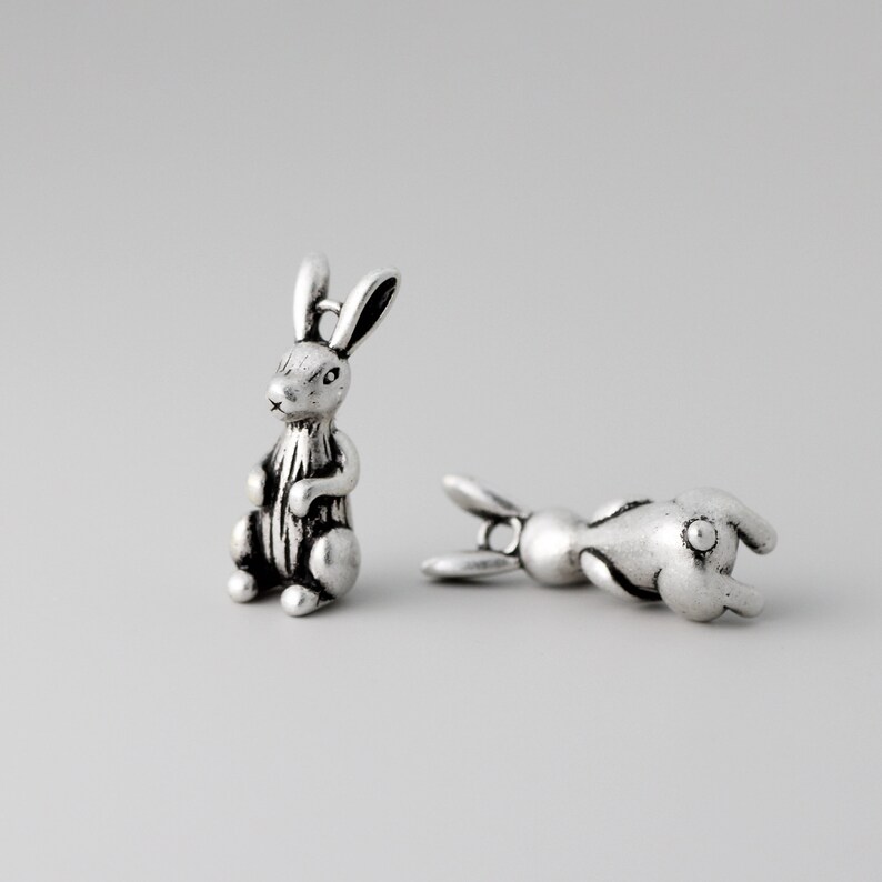 Peut inclure: Deux petites figurines de lapin argent&eacute;es. L'un des lapins est debout, tandis que l'autre est couch&eacute; sur le c&ocirc;t&eacute;. Les lapins ont des d&eacute;tails pr&eacute;cis, notamment de longues oreilles et une fourrure textur&eacute;e, et sont probablement destin&eacute;s &agrave; la bijouterie ou aux travaux manuels.