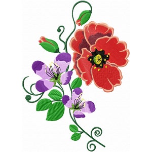 May include: A red poppy flower with a purple and white flower on a green stem with leaves.