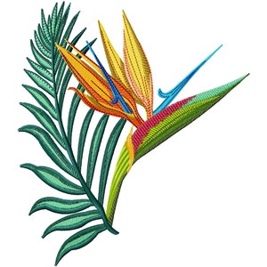 Puede incluir: Un diseño de bordado vibrante que presenta una flor de ave del paraíso con pétalos naranja, amarillo, rojo y azul, y una hoja tropical verde.