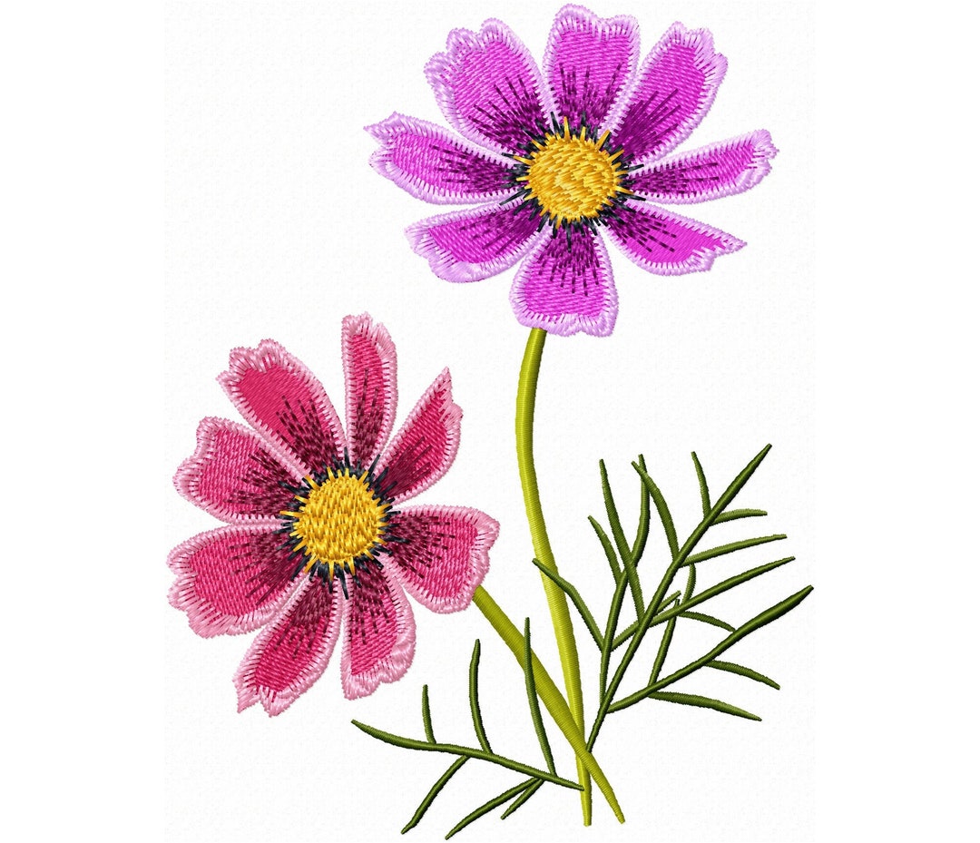Beautiful COSMOS Flower Embroidery Design Machine Embroidery Designs