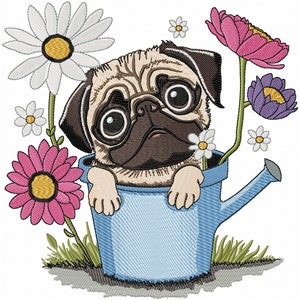 Peut inclure: Un carlin brun aux grands yeux assis dans un arrosoir bleu avec des fleurs autour. Les fleurs sont roses, blanches et violettes.