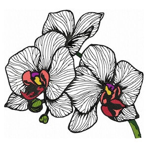 Flower Embroidery Design Machine Embroidery of ORCHID Exotic Flower Floral Embroidery Tropical Flower Outline Embroidery
