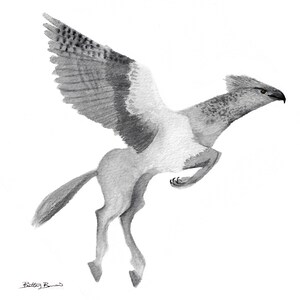 Hippogryph Print - Instant Download