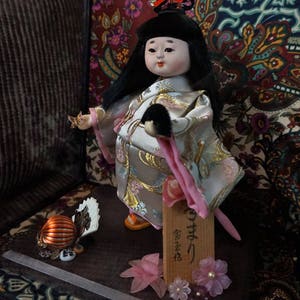 oriental dolls in glass cases