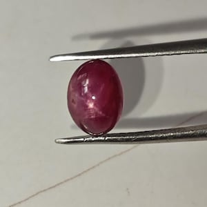 May include: A polished, oval-shaped ruby gemstone, held by tweezers. The ruby is a deep, rich red color with a subtle star-like effect visible on its surface. The gemstone is smooth and reflective, showcasing its natural beauty.