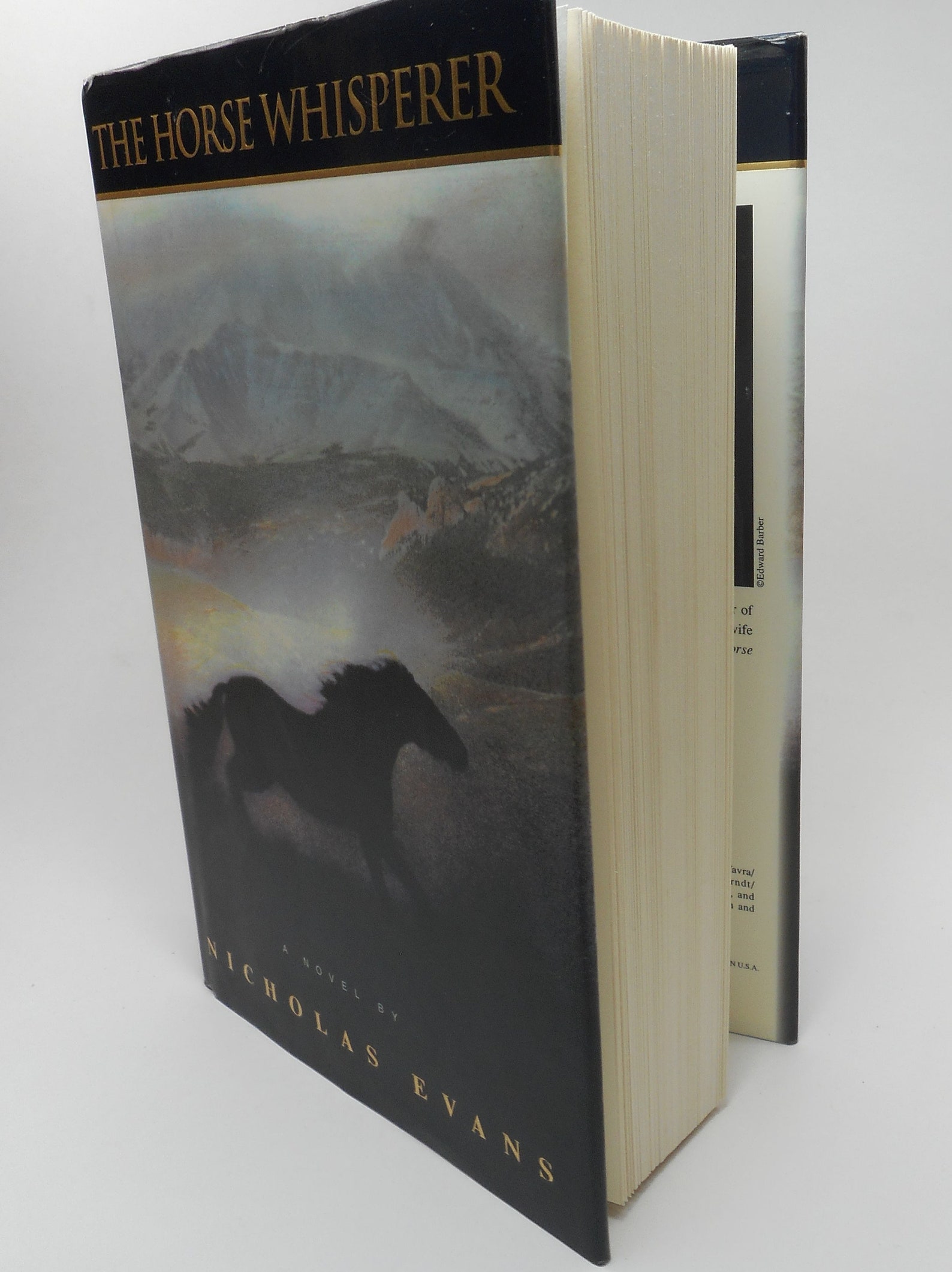 The Horse Whisperer by Nicholas Evans The Horse Whisperer by Nicholas Evans