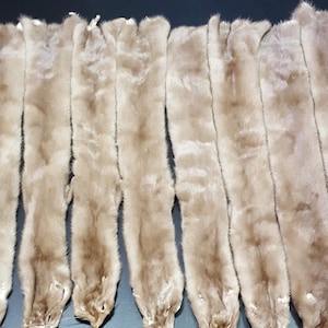 Pastel mink pelt, mink fur, mink hide, mink skin, real mink pelt, mink pelts, mink stole, mink collar, fur pelt, animal pelt, real mink