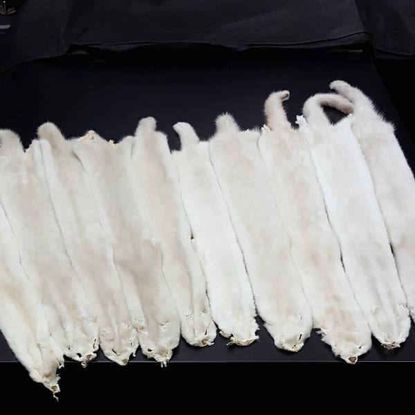 Beige mink pelt, mink skin, mink pelt, mink hide, mink fur, real fur, animal pelt, mink, mink fur pelt, vintage mink, mink pelts, mink skins