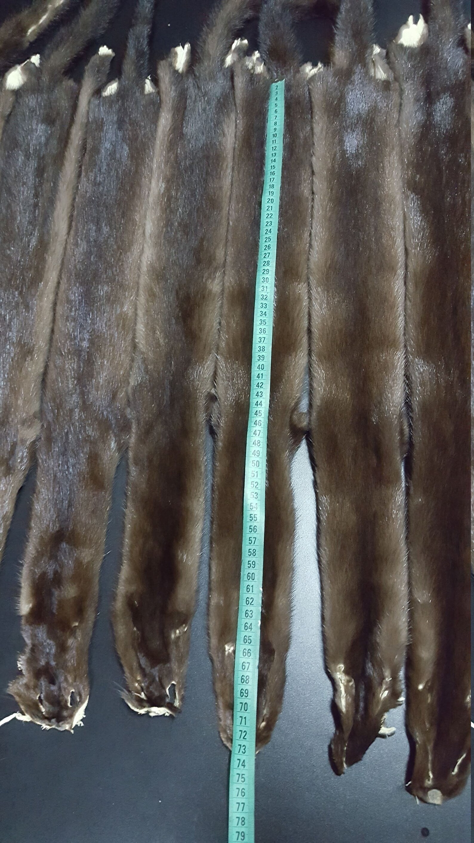 Brown Mink Pelt Mink Skin Brown Mink Fur Mink Hide Mink Etsy