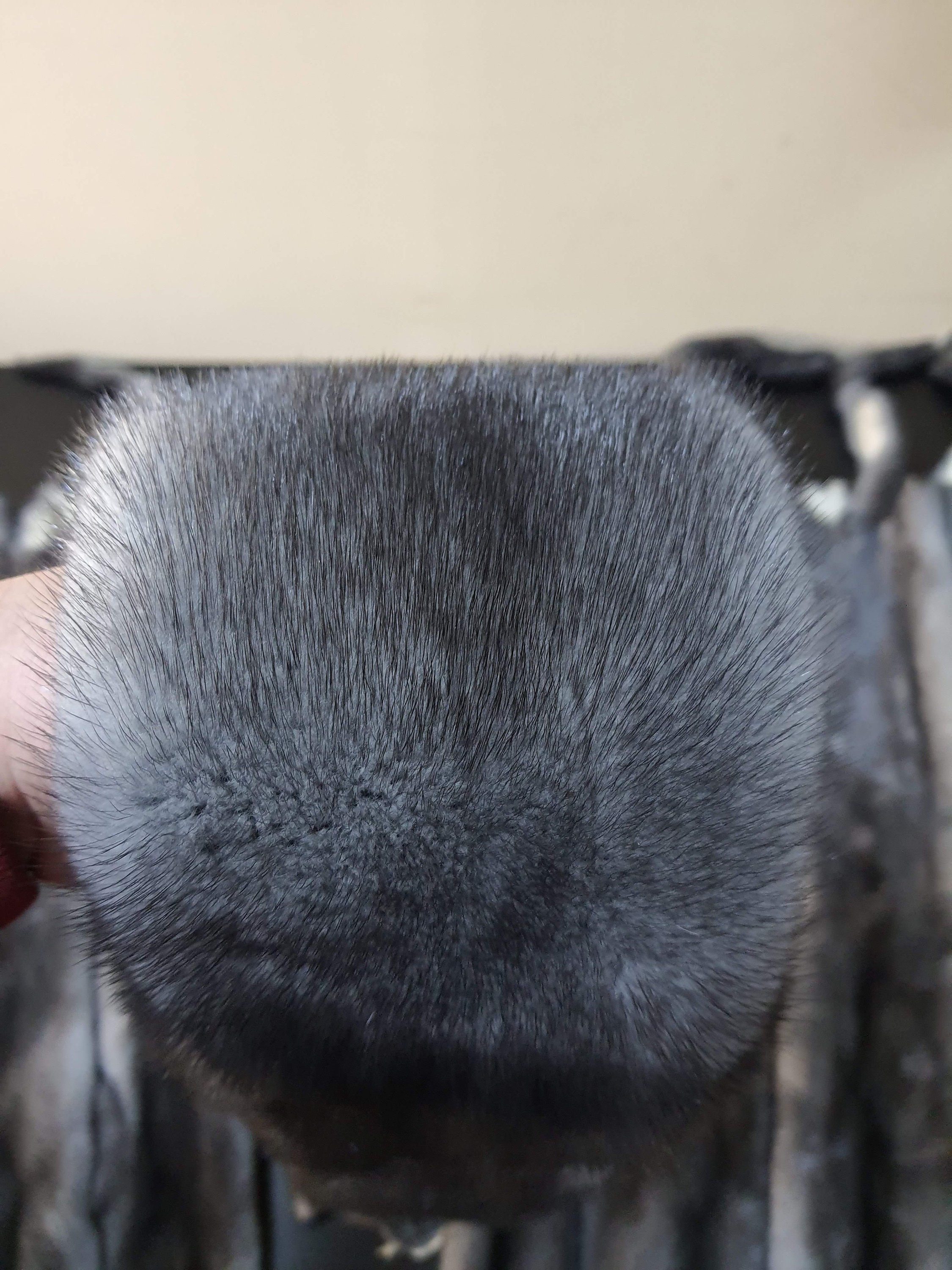 ブルーアイリスミンクの毛皮 - Etsy 日本