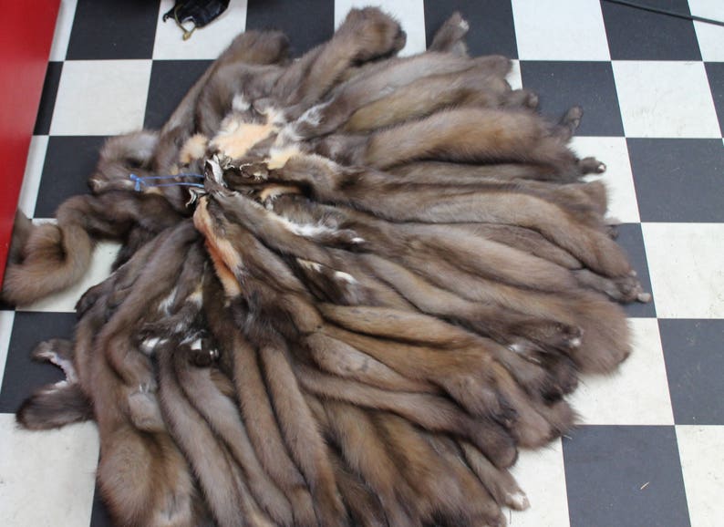 Marten Pelt Marten Skin Marten Hide Marten Fur Real Fur Etsy