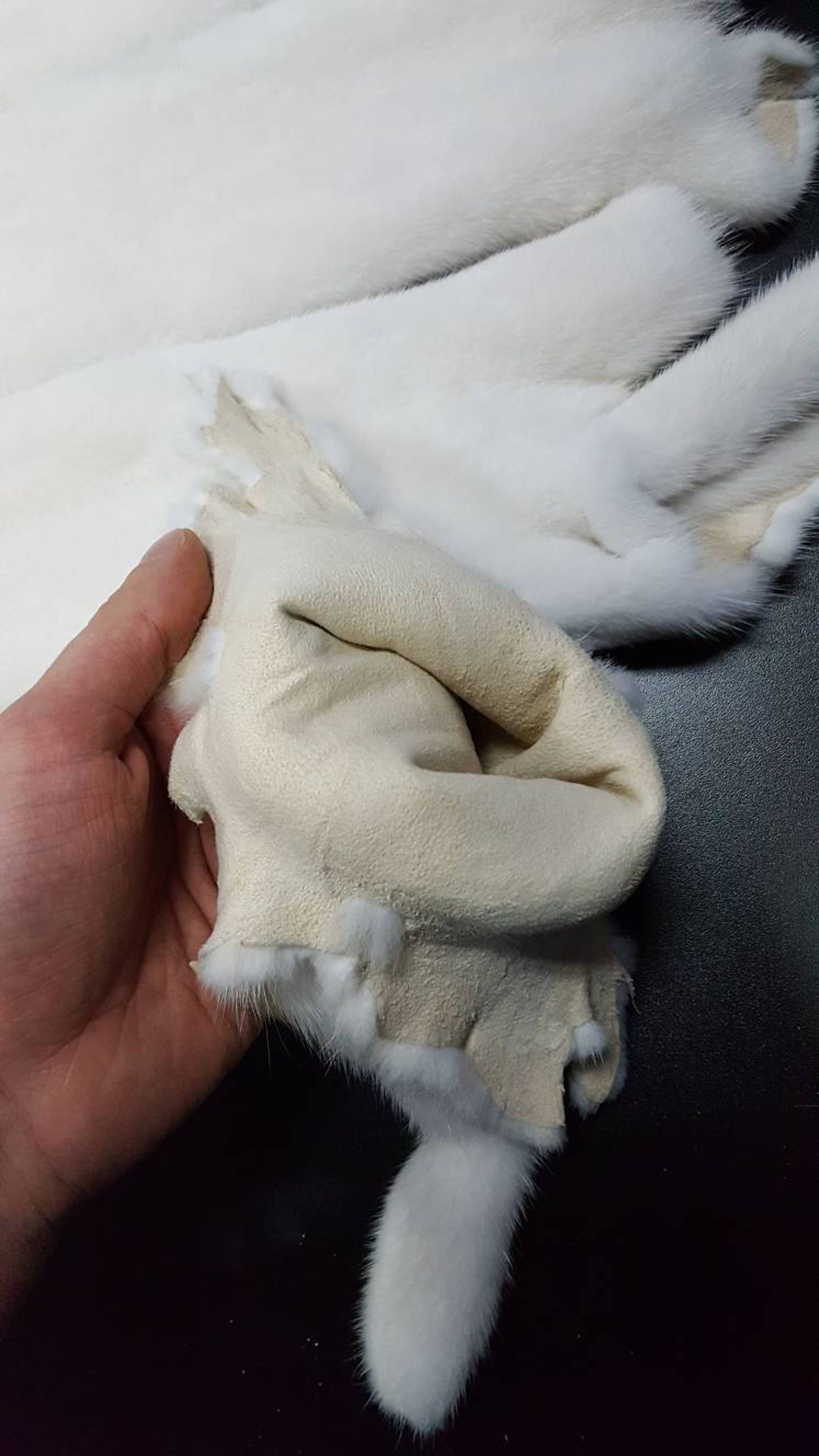 White Mink Pelt White Mink Skin Mink Pelts Mink Pelt Mink Etsy