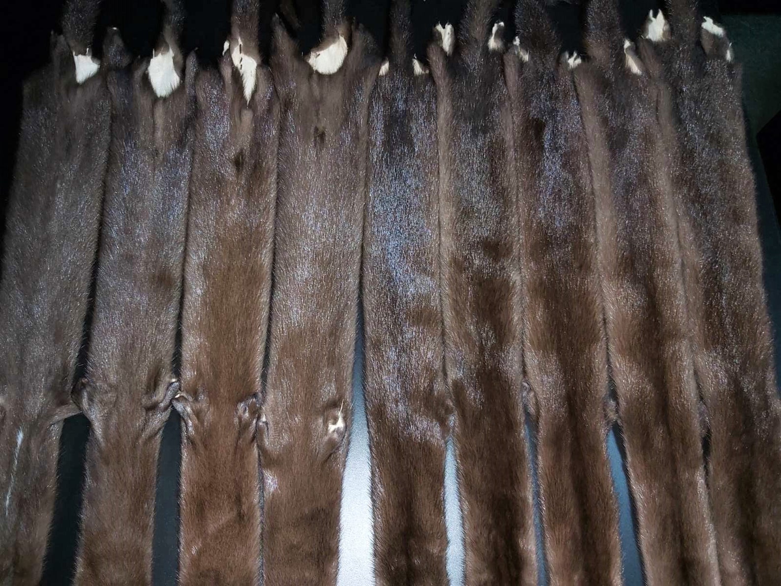 Brown Mink Pelt Mink Skin Brown Mink Fur Mink Hide Mink Etsy