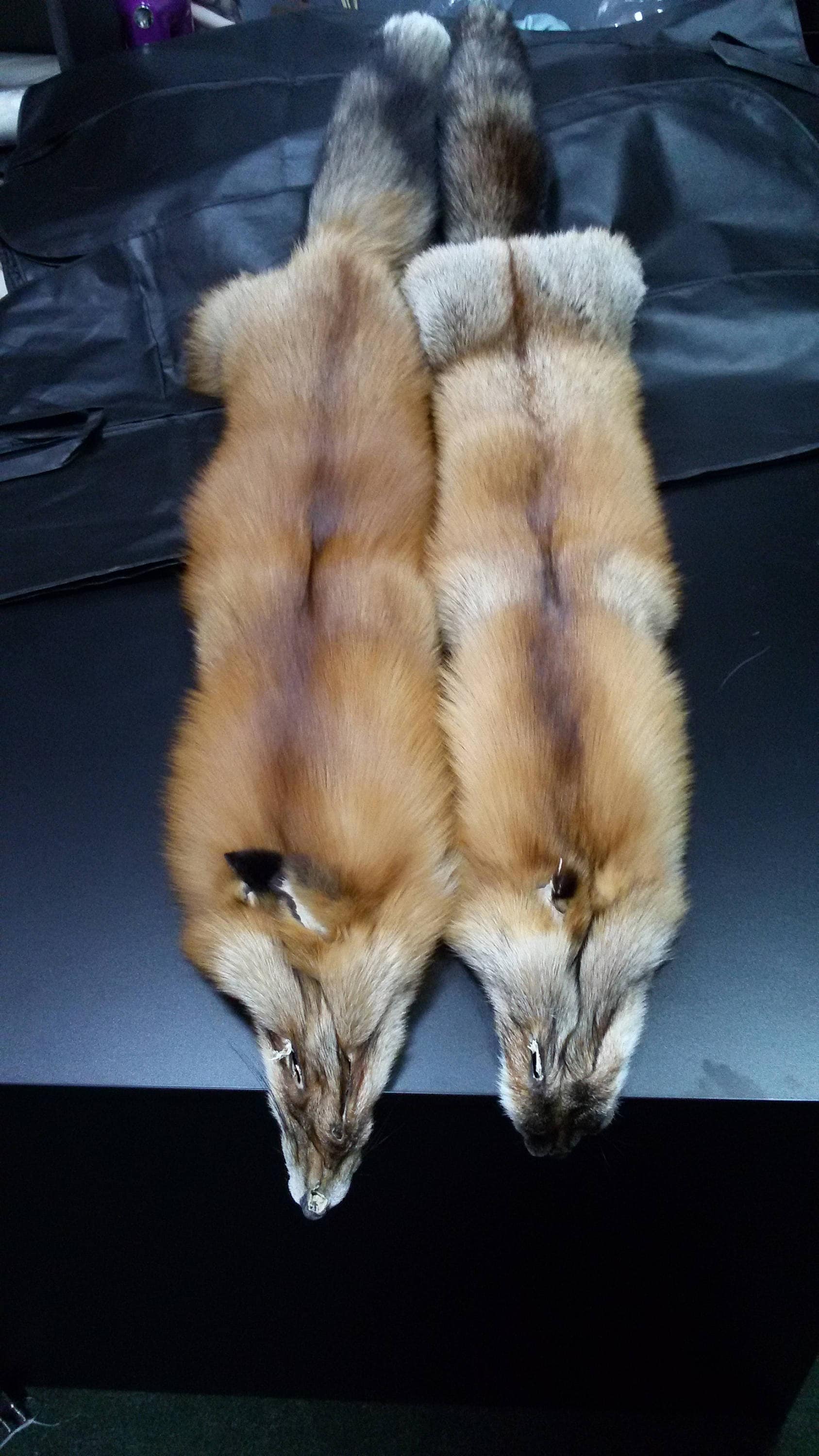 Buy Finnish Saga Foxes Fox Fur Real Fur Saga Fur Saga Fox Red Online in  India 