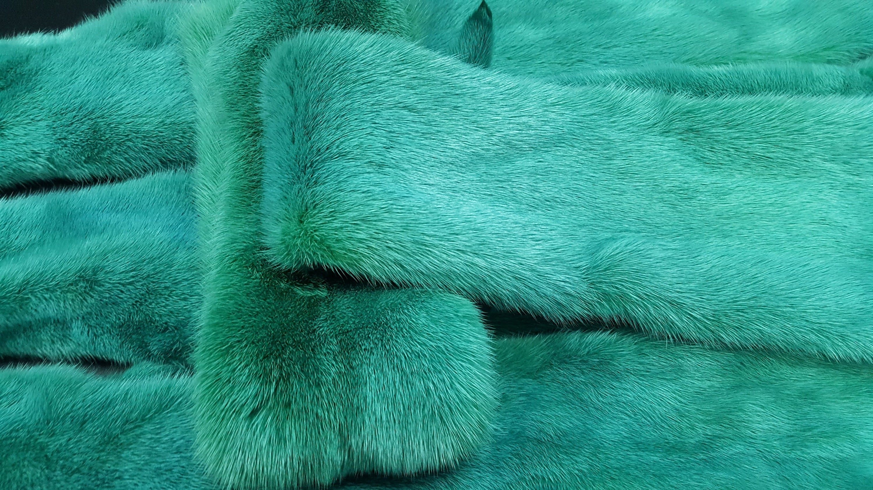 Real mink pelt mink pelts mink fur real fur mink skin Etsy