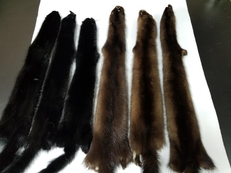 Real Mink Pelt Mink Pelts Mink Fur Real Fur Mink Skin Etsy