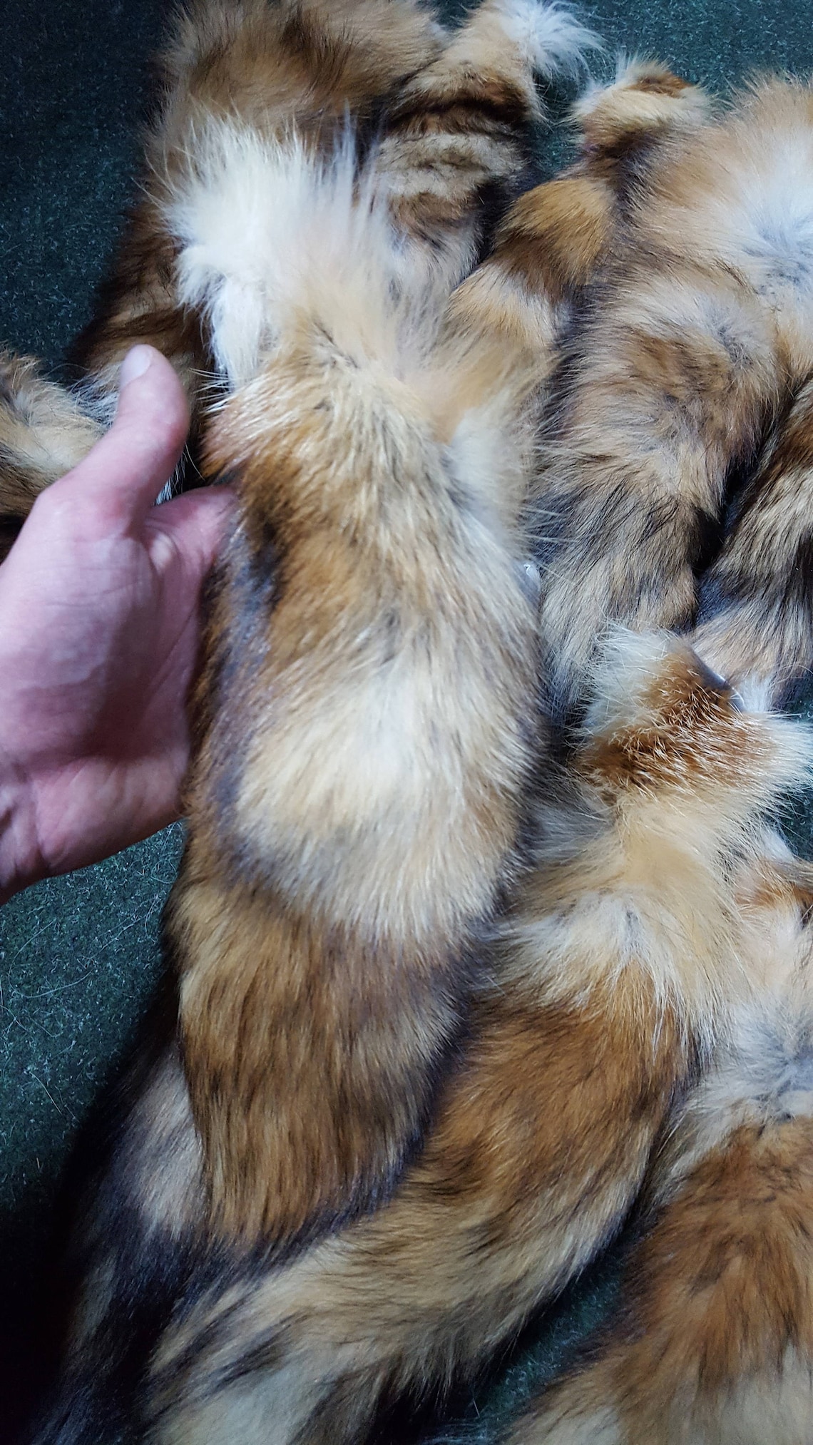 Real fox tail fox tail fox tails red fox red fox tail fox | Etsy