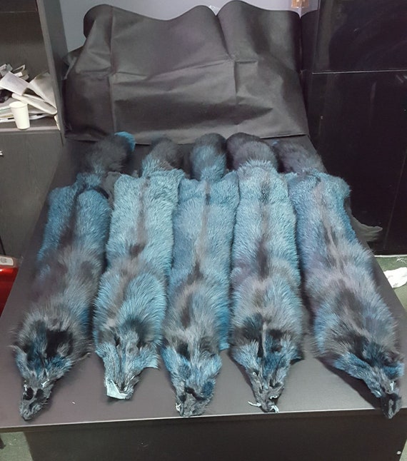 Renard Argente Finlandais Vert Renard Argente A Fourrure Etsy Renard Argente Finlandais Vert Renard Argente A Fourrure Etsy