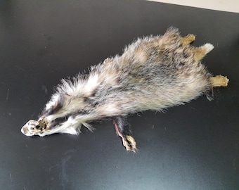 アナグマの鞣し毛皮[ハンドメイド] アナグマの鞣し毛皮[ハンドメイド]