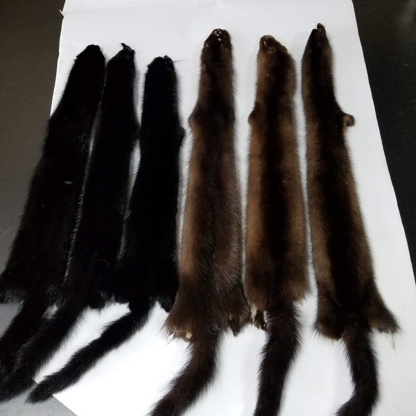 Real mink pelt, mink pelts, mink fur, real fur, mink skin, mink skins, mink hide, mink, fur, colored mink, yellow mink, animal pelt