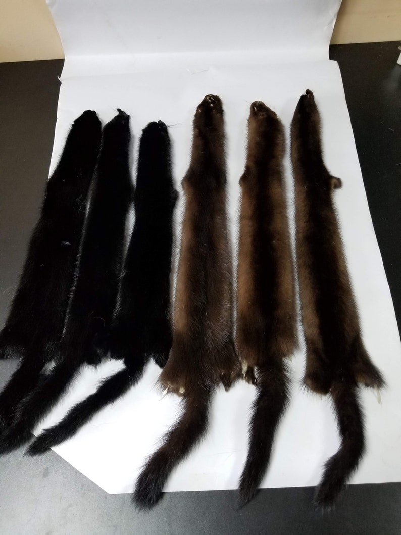 Real Mink Pelt Mink Pelts Mink Fur Real Fur Mink Skin Etsy