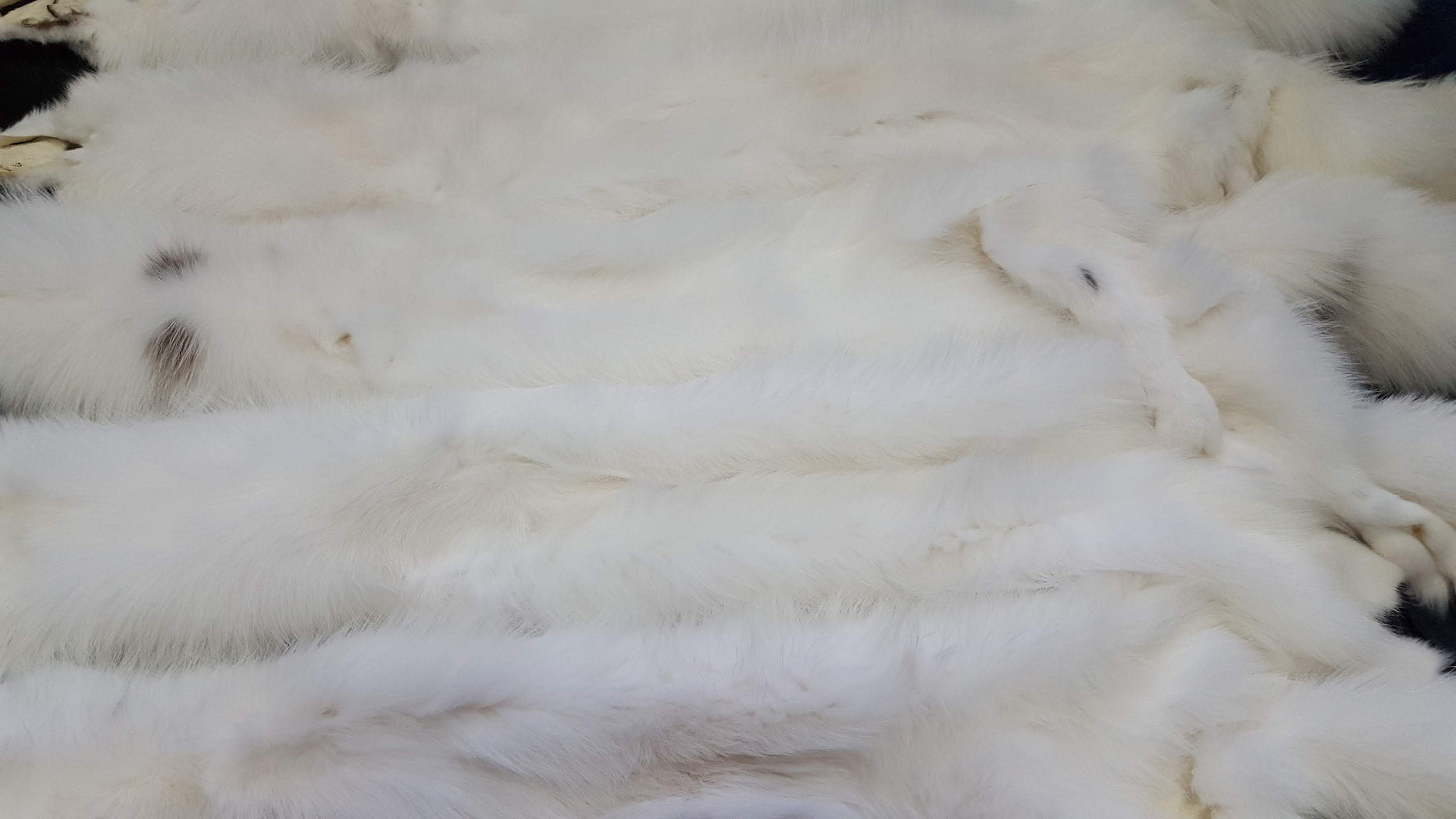 White Fox Pelt Fox Pelt Fox Pelts Arctic Marble Fox Fur | Etsy UK