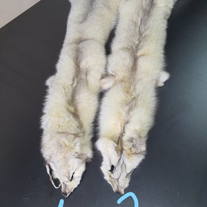 黄色いキツネの毛皮、キツネの毛皮、毛皮、本物の毛皮、本物のキツネの