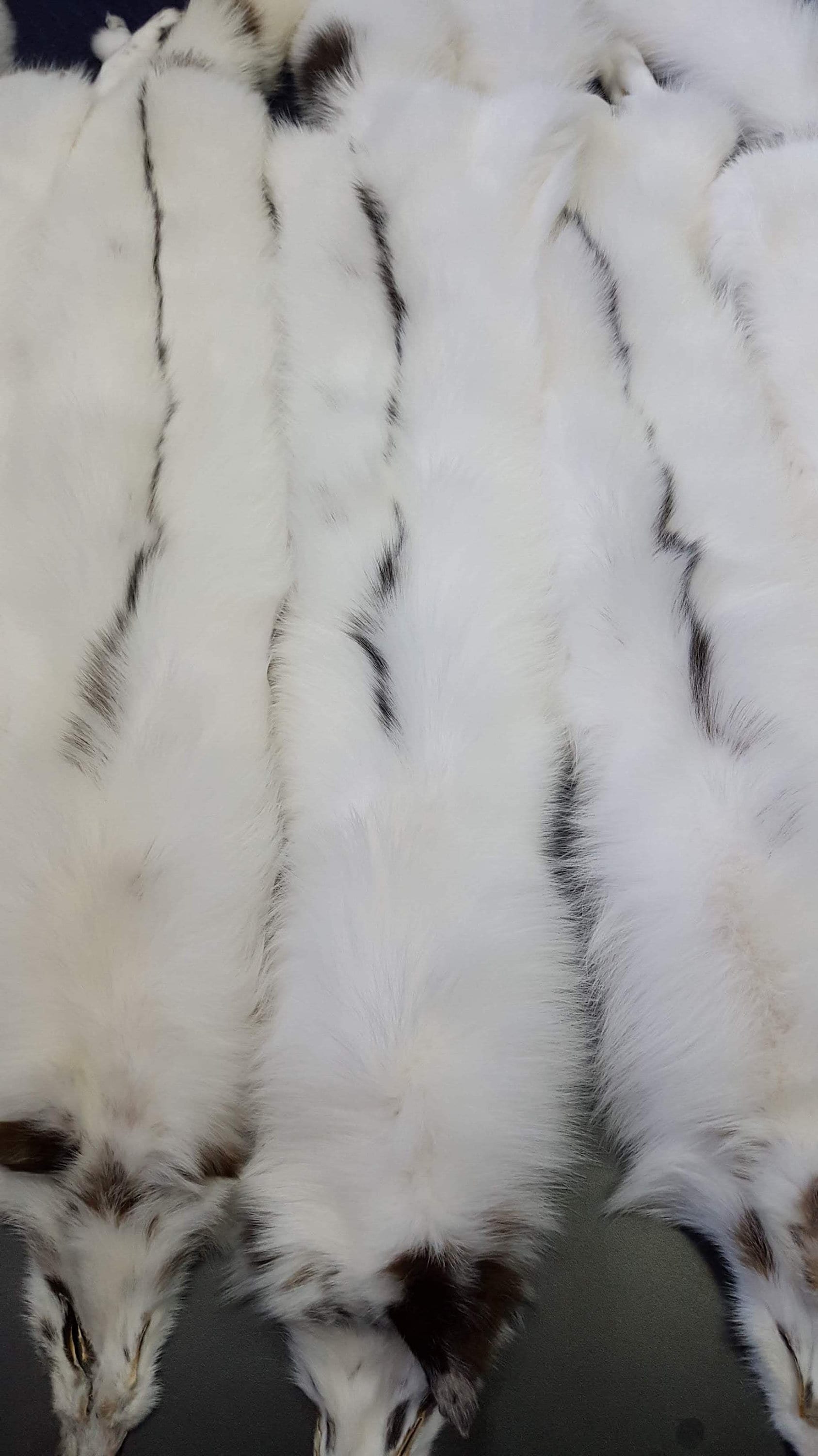 White Fox Pelt Fox Pelt Fox Pelts Arctic Marble Fox Fur | Etsy UK