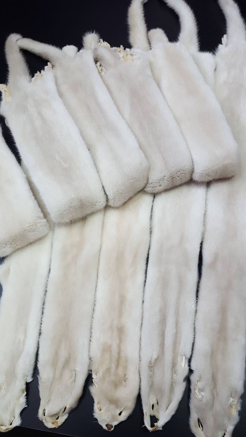 Beige Mink Pelt Mink Skin Mink Pelt Mink Hide Mink Fur Etsy