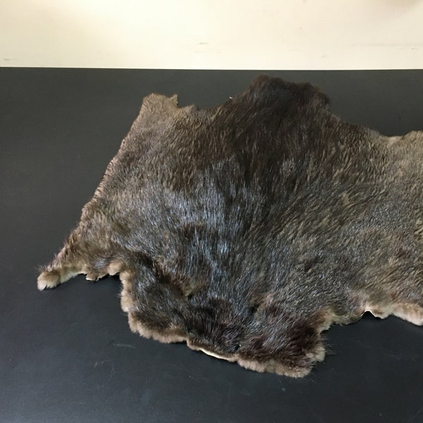 Beaver Skin Hat Etsy