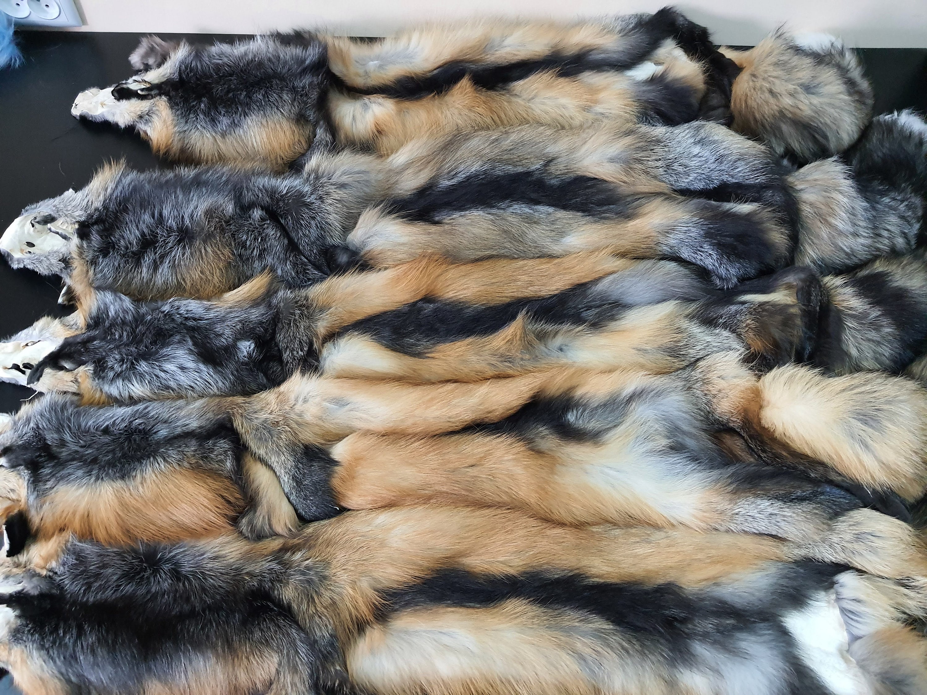 足と爪が付いたクロスフォックスの毛皮、キツネの毛皮、キツネの毛皮