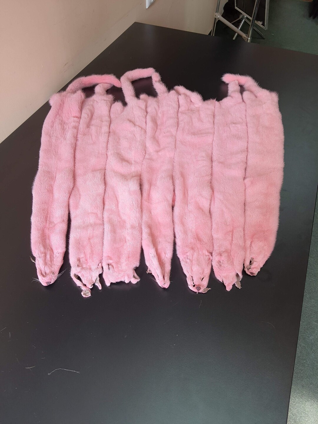 Pink Mink Pelt Mink Pelt Mink Pelts Mink Fur Mink Skin Etsy