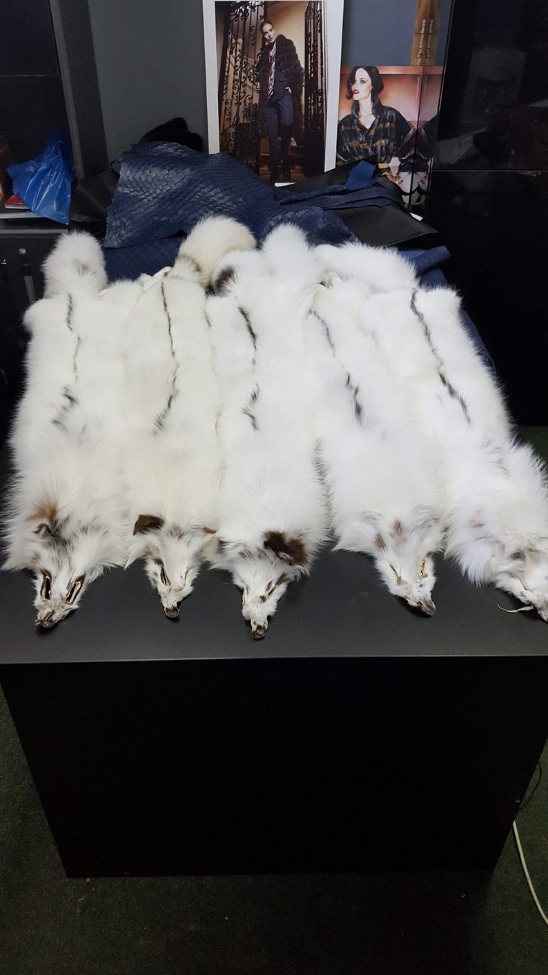 White Fox Pelt Fox Pelt Fox Pelts Arctic Marble Fox Fur | Etsy UK