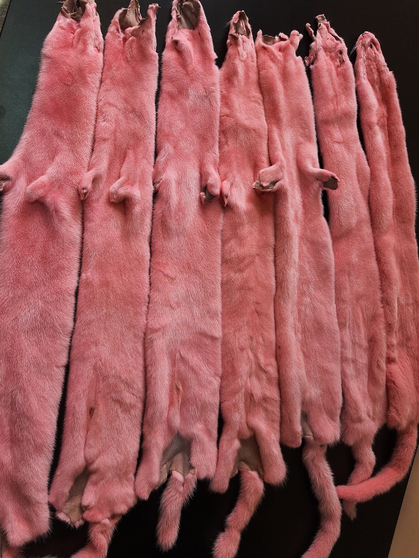 Pink mink pelt mink pelt mink pelts mink fur mink skin Etsy