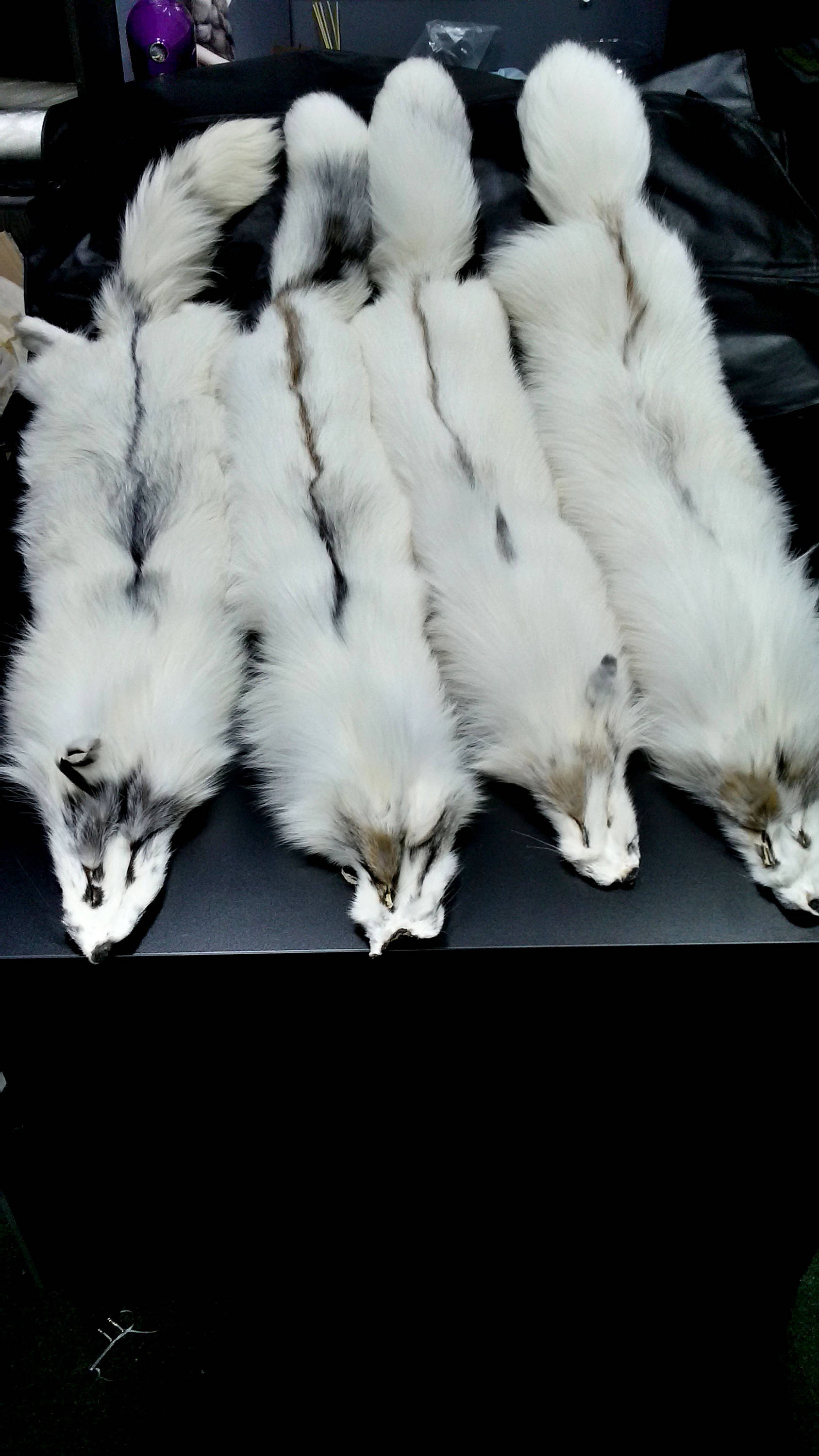 White fox pelt fox pelt fox pelts fox fur real fur real Etsy