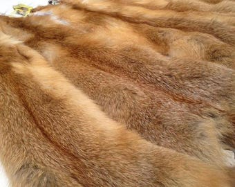 Gold fox pelt, fox pelt, fox skin, fox hide, fox fur, fox hide, gold fox, fox, fur pelt, fur fox, fur, real fox fur, red fox fur, fox decor