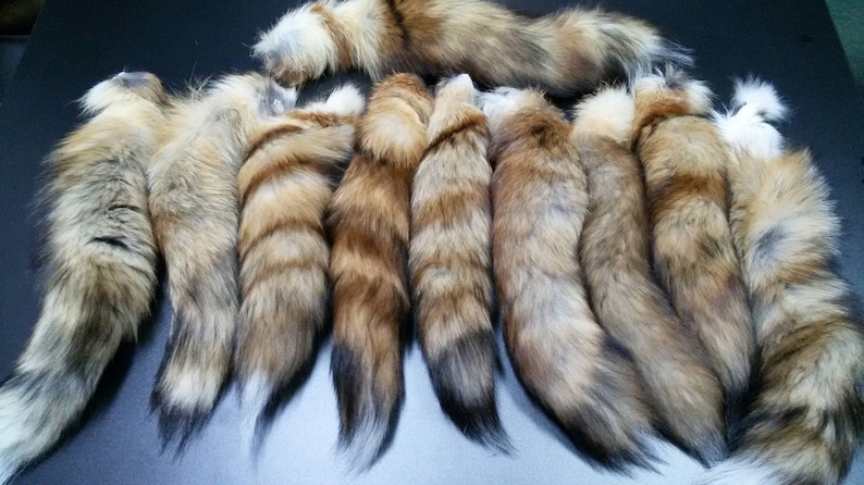Echte Fuchs Schwanz Fuchs Schwanz Fuchs Schwänze roter | Etsy