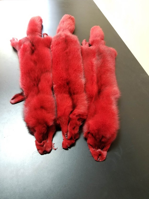 Red Finnish polar fox, furry polar fox, polar fox pelt, fox pelt, fox pelts, real fur, real fox fur, polar fox hide, red fox hide