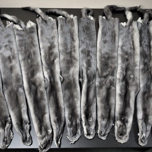 Blue iris mink pelts