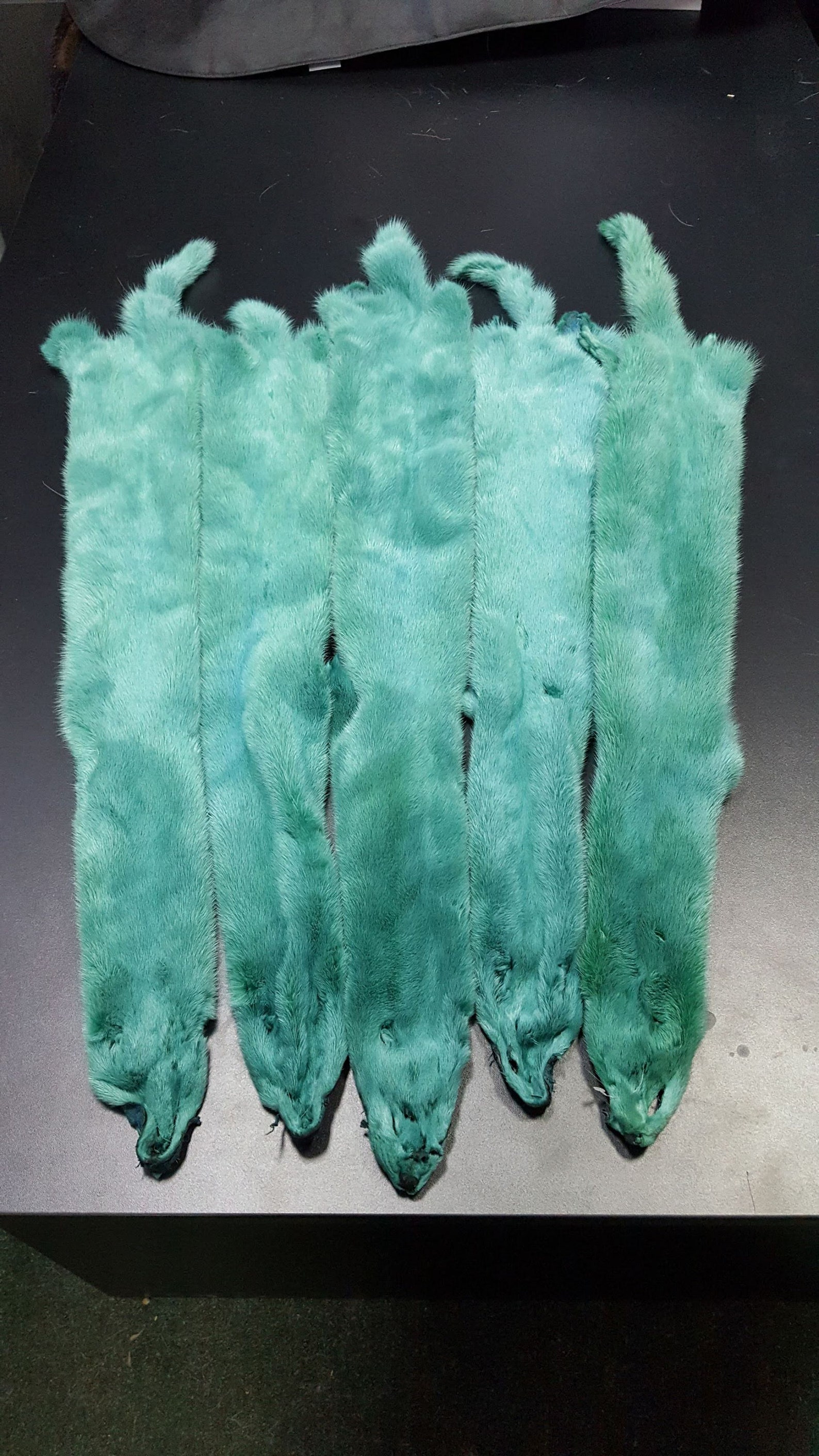 Real mink pelt mink pelts mink fur real fur mink skin Etsy