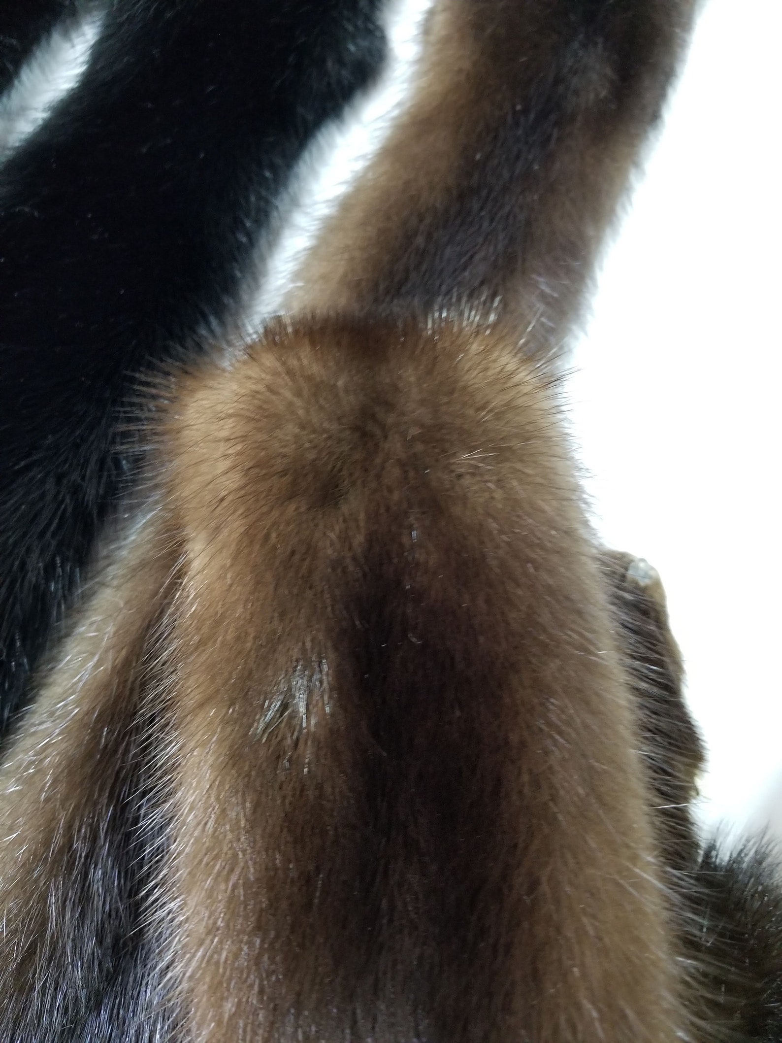 Real Mink Pelt Mink Pelts Mink Fur Real Fur Mink Skin Etsy